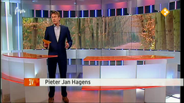Eenvandaag - Eenvandaag