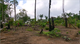 Zapp Your Planet: Expeditie 2014 - Aflevering 3: Expeditie Suriname
