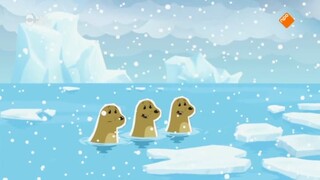 Inui - Het Sneeuwvlokkenraadsel