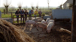 Onze Boerderij - Onze Boerderij