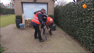 Man Bijt Hond - Man Bijt Hond