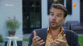 De Pennen Zijn Geslepen - De Pennen Zijn Geslepen
