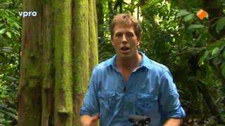 Freek In Het Wild - Op Zoek Naar De Zweepspin