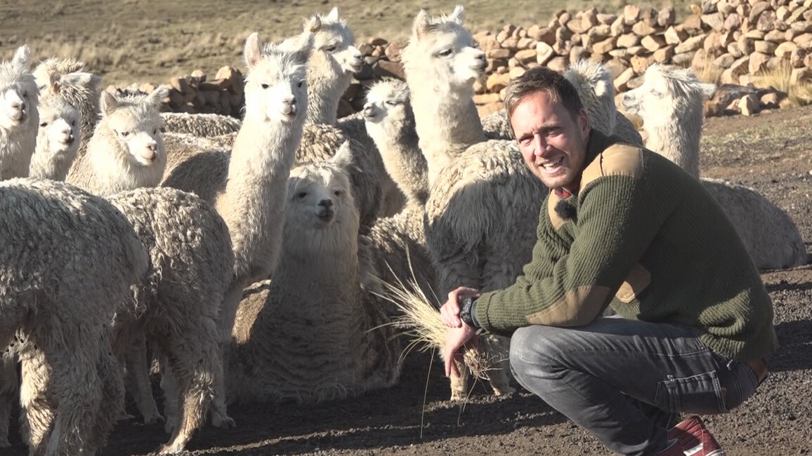 Het Klokhuis - Seizoen 31 Afl.  - Alpaca's
